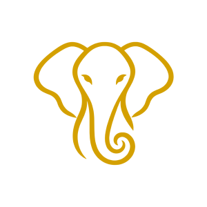 Safari-Journey